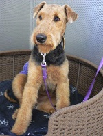 2012-09-04 11.04.19.jpg
